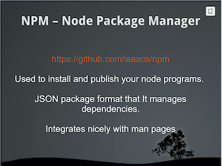 A sceenshot of a slide with an announcement of npm as a package manage for node